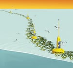 An artist's rendering of a project that could grow kelp used for biofuel in the open ocean -- that seaweed could one day power your car.