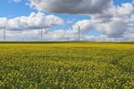 Fourth Generation farmer Jake Madison's farm where he grows a wide range of crops from grass seeds to wheat.