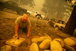Gary Benthin works to shut off water to homes destroyed by the Santiam Fire near Gates, Ore., Sept. 9, 2020. Fires around Oregon could become the deadliest, costliest in state history.