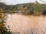Flooding from the Salmon River in Otis, Oregon,  on Nov. 12, 2021.