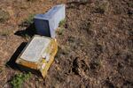 Note the cow pie adjacent to this tipped headstone. 