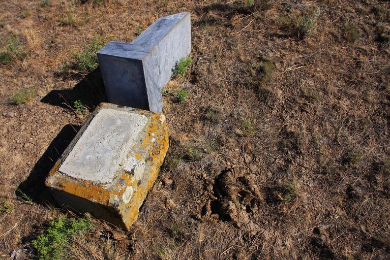 Note the cow pie adjacent to this tipped headstone. 
