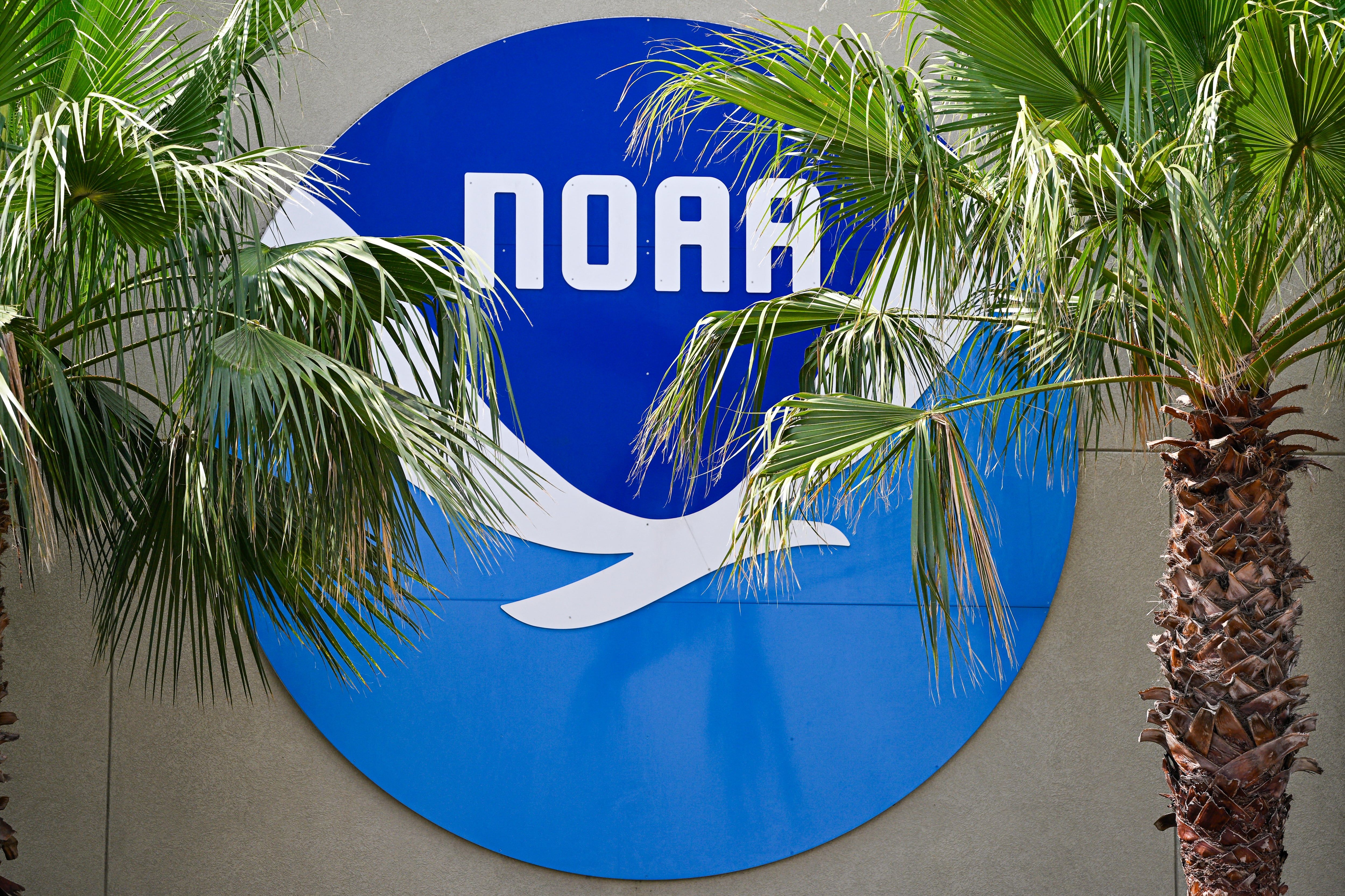 A National Oceanic and Atmospheric Administration's (NOAA) logo is seen at the Aircraft Operations Center in Lakeland, Florida, on May 6, 2025. The Trump administration fired roughly 600 NOAA employees in its purge of probationary workers earlier this year.
