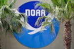 A National Oceanic and Atmospheric Administration's (NOAA) logo is seen at the Aircraft Operations Center in Lakeland, Florida, on May 6, 2025. The Trump administration fired roughly 600 NOAA employees in its purge of probationary employees earlier this year.