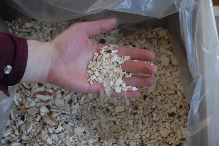 Ivory that has been crushed. Officials destroyed confiscated ivory stockpiles as a message against illegal wildlife trade.