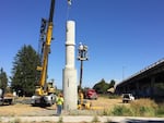 In Albany, Oregon, bird advocates have built a homemade version of the chimneys Vaux's swifts use as a nightly roost.