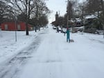 Children in Northeast Portland spend the snow day on Dec. 15, 2016, sledding past Sabin K-8 school.