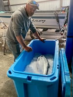 Fisherman Jesse Coon unloads a catch from a recent fishing trip, at Garibaldi, Ore. on April 29, 2026. 