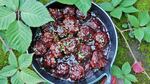 A pot of meatballs with blackberry bbq sauce.