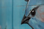 A western bluebird painted on a pedestrian underpass beneath Colorado Avenue in Bend. A googly eye was recently removed from the painted bird.