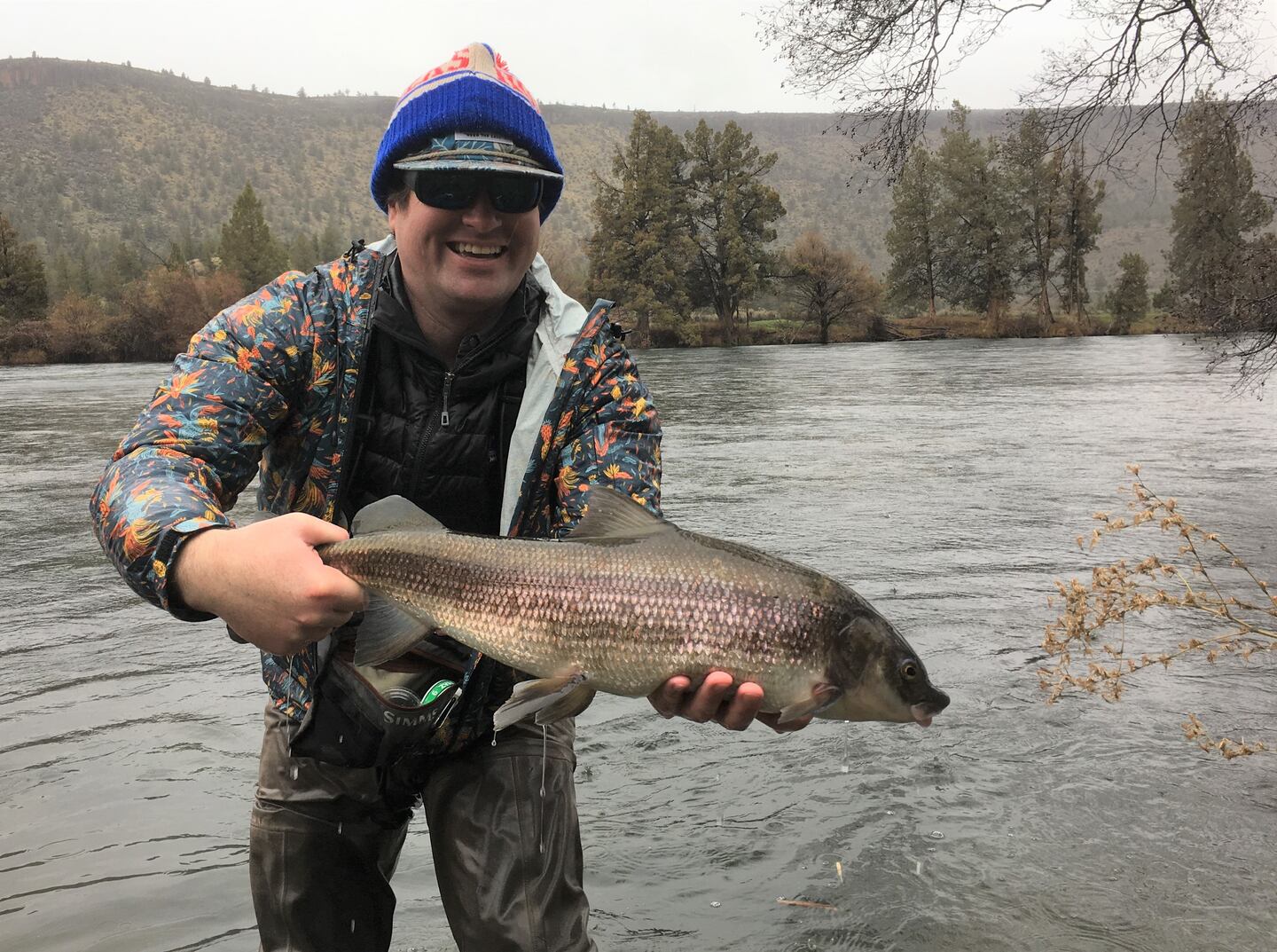 Oregon fisherman catches record-sized fish on Deschutes river - OPB