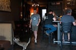 Huxley stretches in the Tarwater Tavern. As a kitten, Huxley lived above the bar with his owners, and is still a regular at the establishment. 