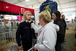 Ceanna Bergstrom fixes the collar on her daughter Erika's shirt before the market hog competition at the Clackamas County Fair. FFA competitors are not only judged by their animals, but also their personal appearance. 