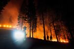 A fire burns behind silhouettes of trees and firefighters.