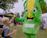 A corn mascot and a young child share a high five at the annual Aumsville Corn Festival on Aug. 20, 2022.