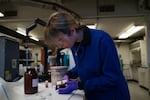 In this photo released by the University of Oregon, postdoctoral student Ana Konovalova shows off the electrochemical cell designed in Paul Kempler’s lab.