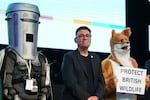 Labour party's Andy Burnham stands beside candidate Count Binface, left, and a candidate for Protect British Wildlife after winning the Makerfield by-election, paving the way for a leadership challenge against Prime Minister Sir Keir Starmer. in Wigan, England, Friday, June 19, 2026.