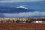 Lower Klamath National Wildlife Refuge