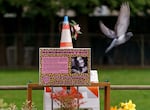 A memorial for June “T-Rex” Knightly, at the corner of Northeast Hassalo Street and Northeast 55th Avenue in Portland on April 5, 2023. Knightly died after being shot by Benjamin Smith on February 2022.