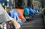 The tents of unhoused people who have set up encampments along a Portland sidewalk. At least seven tents are visible in the picture.
