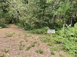 Ruby Ranch has several locations where clients can choose to do therapy. Ibarra says the mindfulness path is helpful for bringing clients into the present moment during sessions.