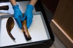 Amber Lincoln, Americas curator with the British Museum, places a dentalium purse on a tray as she prepares Summers Collection items to return to London on Wednesday, May 29, 2019. The Grand Ronde tribes have started making new versions of items on display at Chachalu. "The role of museums is to sort of facilitate what’s already happening here," Lincoln said. "If historical objects can help in this process then this is what we need to be doing."