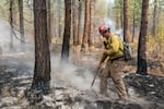 A firefighter uses a long-handled tool on ground covered in ash. Smoke hangs low on the landscape.