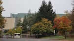 FILE - The Eugene building currently owned by Stratacache, as seen in this Oct. 21, 2025, photo, sits behind single-story office parks off of Willow Creek Road.