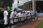 The Portland Pickles roster all stand in front of the dugout, watching the game. All players are required to wear a mask when they are in the dugout.