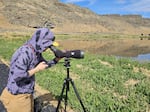 Teresa Wicks, an Eastern Oregon biologist and program manager with Bird Alliance of Oregon, watches birds at Tule Lake National Wildlife Refuge on Aug. 20, 2026. Wicks said the deaths of newly hatched birds during the botulism outbreak were particularly difficult to witness.