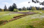 RedTail Golf Center in Beaverton, Ore., on April 11, 2024. Owned by the city of Portland, it's one of five city-owned courses and one of the most profitable.