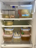 Kamilla Souza's collection of whale and dolphin brains at the Orca Institute in Brazil.