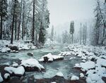 A kayaker descends Rough and Ready Creek in the winter 