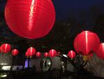 Hanging red lanterns illuminate a courtyard at Lan Su Chinese Garden.