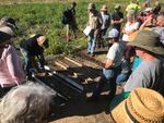 Soil Scientist Andy Gallagher demonstrates the different types of soils found in the Willamette Valley at a dry farming event in Philomath, Oreg.