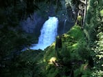 Sahalie Falls is one of several waterfalls on the 26-mile McKenzie River Trail.