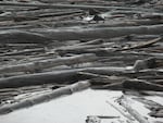 Log mat on Spirit Lake on Oct. 8, 2019. The 1980 eruption and the associated massive landslide deposited enormous amounts of floating woody debris onto Spirit Lake.