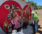 In this photo provided by Rodger Deevers, volunteer Kathy Rasmussen helps paint a mural at the Welcome Home Animal Sanctuary in Creswell, Oregon on July 12, 2025.