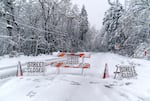 Falled trees, stuck cars and downed power lines led to the closure of W. Burnside Rd. at NW Skyline Blvd, April 11, 2022.