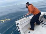 A Teledyne G3 Slocum Glider looks for whale sounds off the coast of Georgia. UGA Skidaway Institute doctoral student Frank McQuarrie is taking it out of the water.