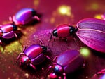 The magenta shade traces its organic origins to the cochineal beetle.