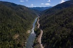 FILE - The Klamath River winds runs along Highway 96 on June 7, 2021, near Happy Camp, Calif. The largest dam removal project in U.S. history was completed Wednesday, Oct. 2, 2024, freeing up hundreds of miles of the Klamath River near the California-Oregon border.