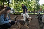 Owners and dogs use the new PSU dog park on May 20, 2026, in Portland, Ore.