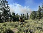A U.S. Forest Service wildland firefighter in Idaho