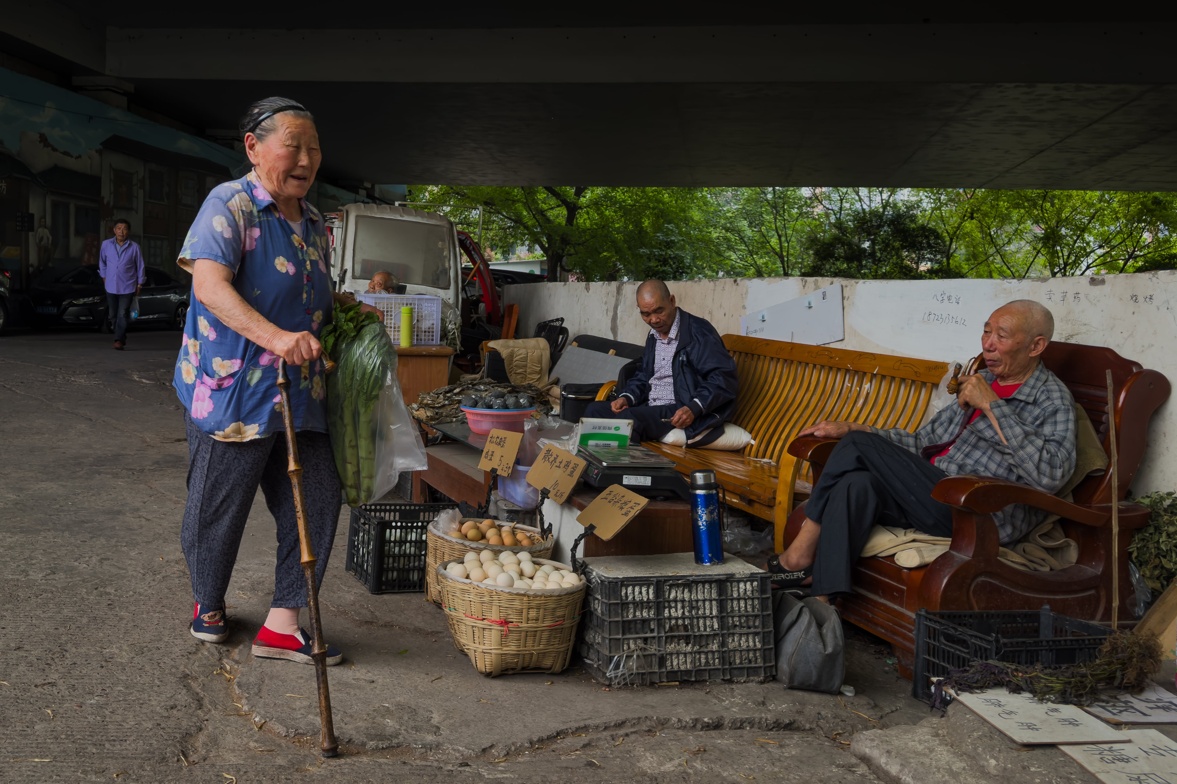 An elderly woman holding leafy vegetables and a cane walks past street vendors selling farm produce and traditional goods under an overpass in Chongqing, China. Amid rising concerns about the aging population and the growing cost of living, many elderly citizens continue to rely on informal street markets and small-scale farming to supplement their income and maintain community ties.