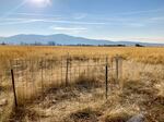 The Caretakers of the Land erected a pen around Woods' rose plants to protect it from grazers near Ascension School in Cove, Ore., Nov. 16, 2022.