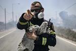 July 24, 2023: A fireman gestures and holds a cat and two rabbits after rescuing them from a fire between the villages of Kiotari and Gennadi, on the Greek island of Rhodes.