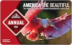The America the Beautiful National Parks Annual Pass for 2025, showing one of the natural images which used to adorn the pass. Its picture, of a Roseate Spoonbill taken at Everglades National Park, was taken by Michael Zheng.