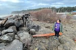 Lia Frenchman looks at the driftwood-covered seawall behind her home in Taholah. At high tide in the winters, the waves come into her backyard "and you'll see the water running under my house, out into the street," Frenchman said.