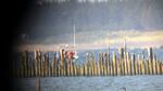 Government hunters shoot cormorants from a boat in the Columbia River near Chinook, Washington
